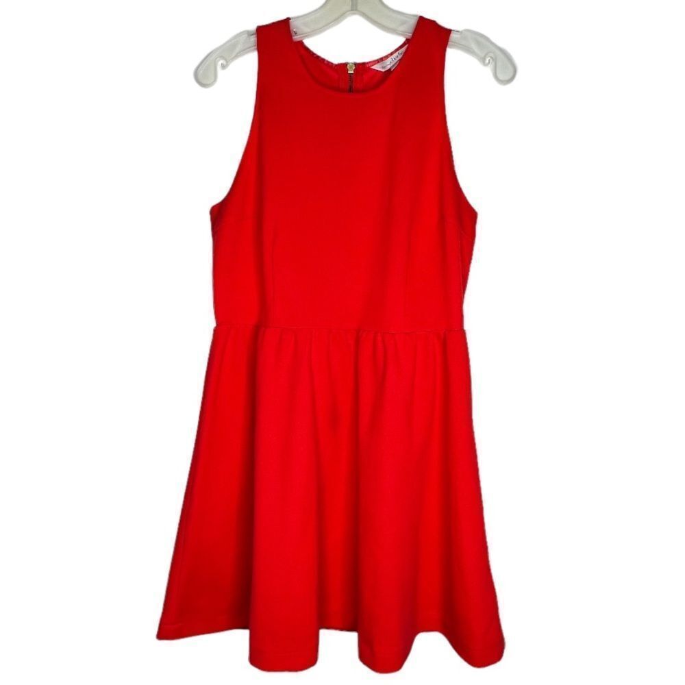 Charming Charlie Dress